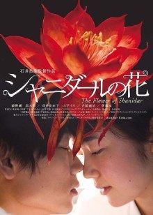 桜桃喵 &#8211; 兔女郎[29P/358MB]